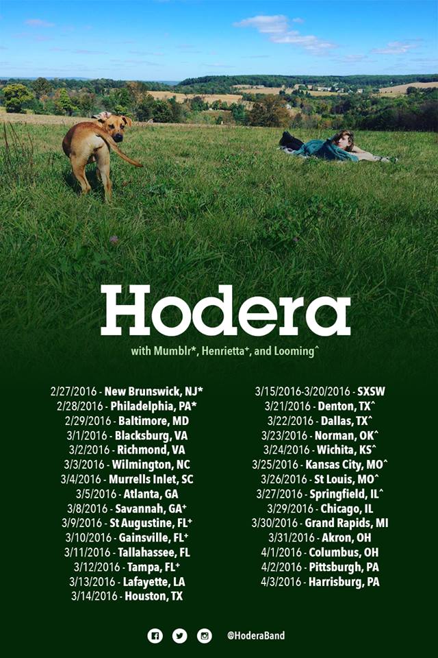 Hodera