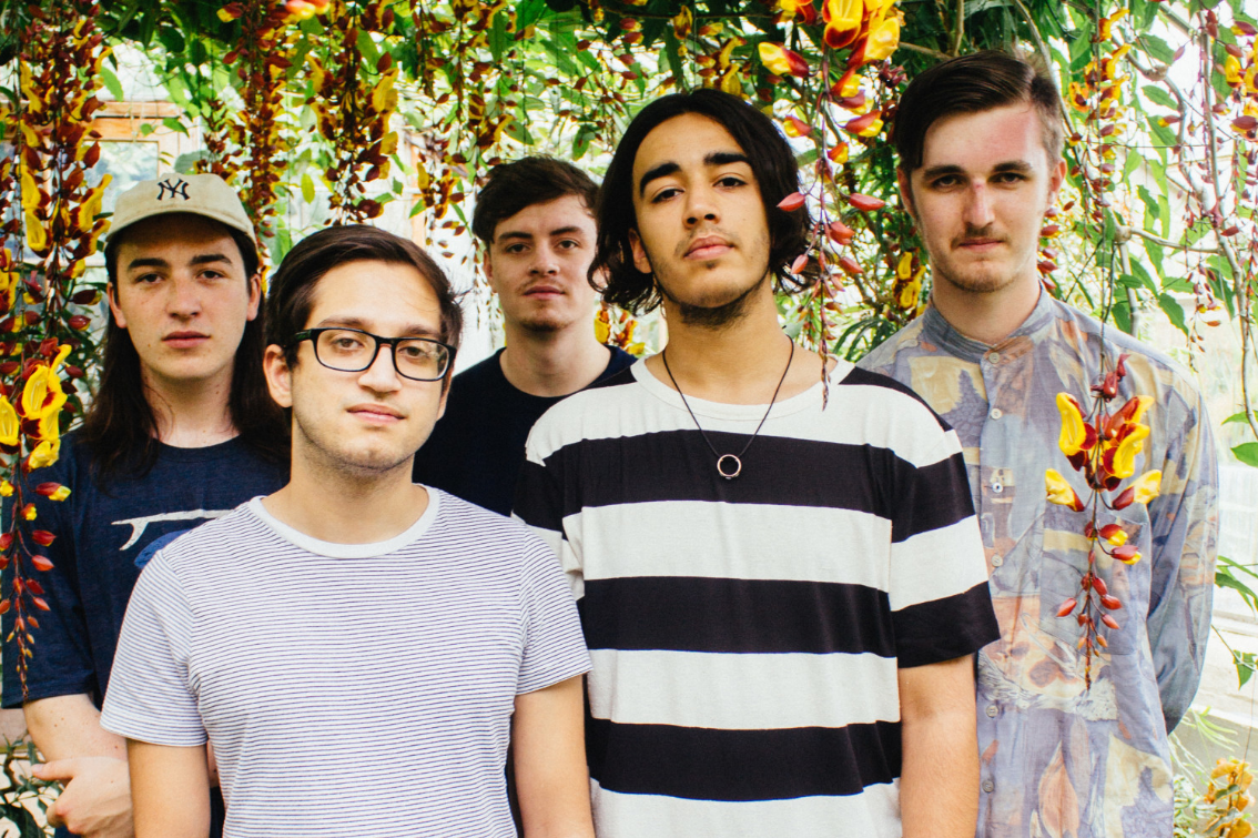 Redwood: “I’ve been obsessed with the Redwood forest for as long as I can remember.”