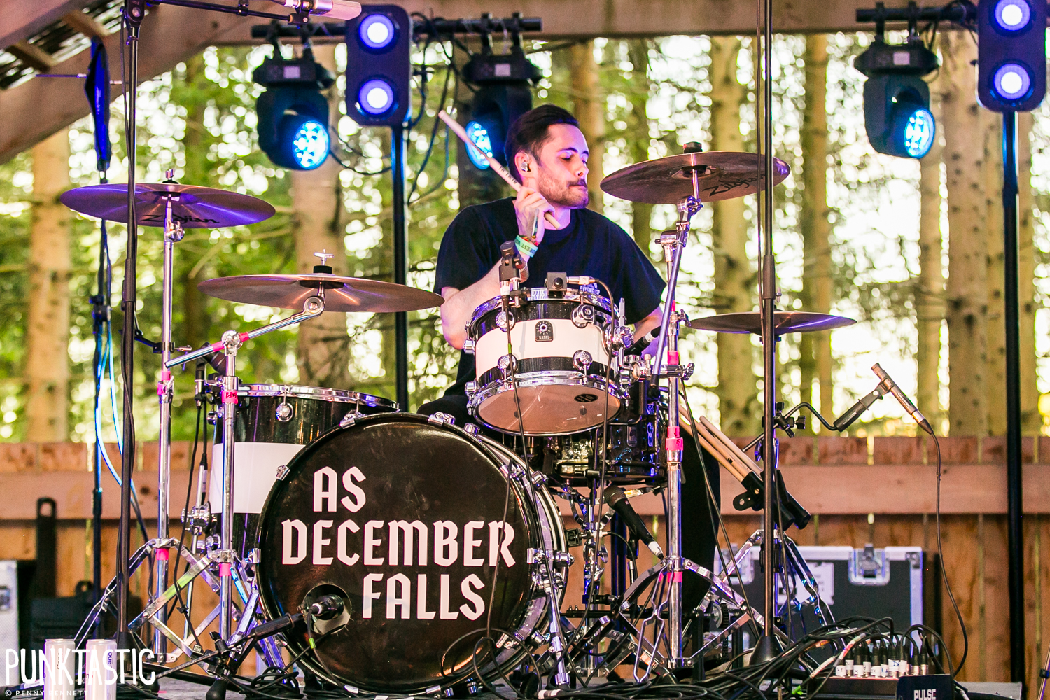 As December Falls