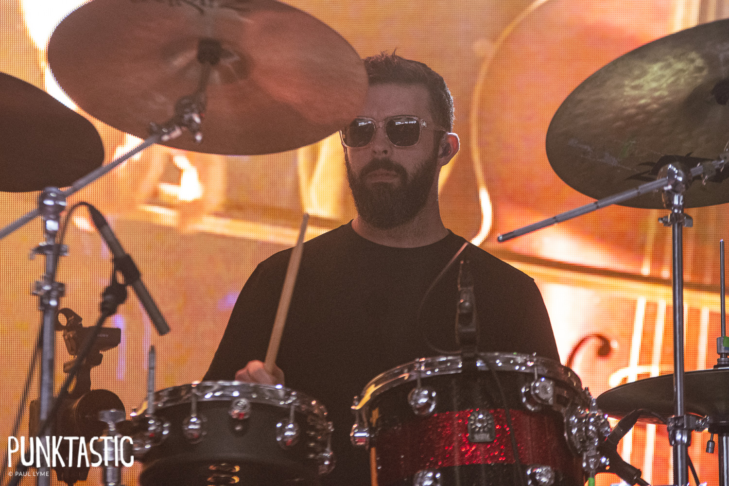 Overhead, the Albatross