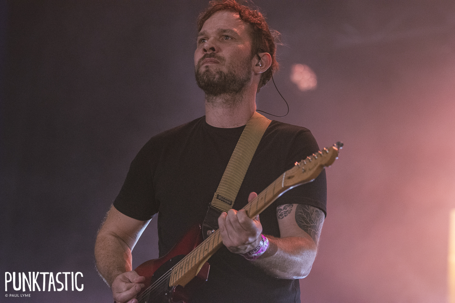 Overhead, the Albatross