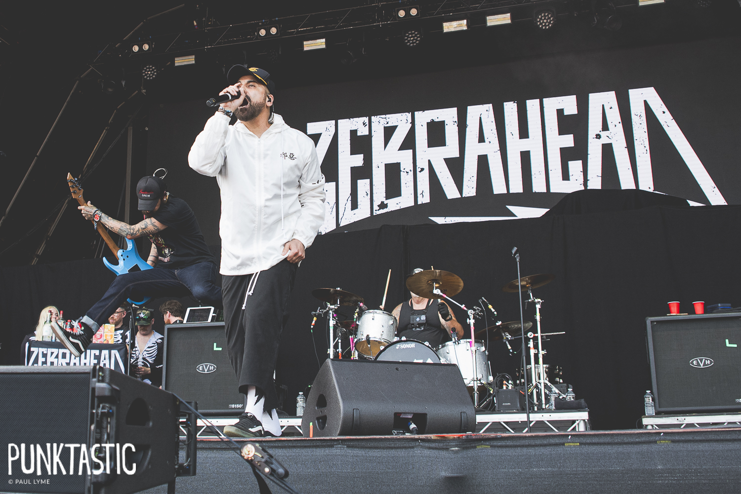 Zebrahead