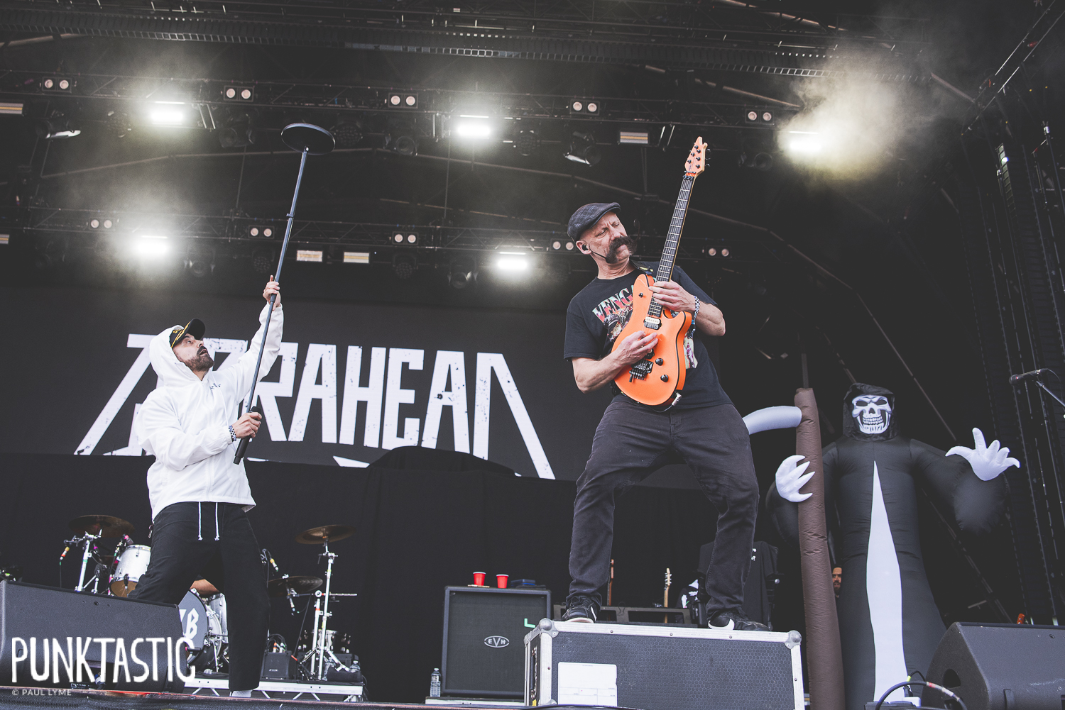 Zebrahead