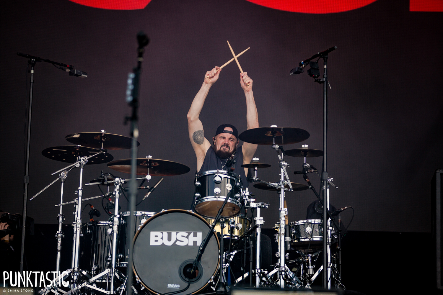 Bush
