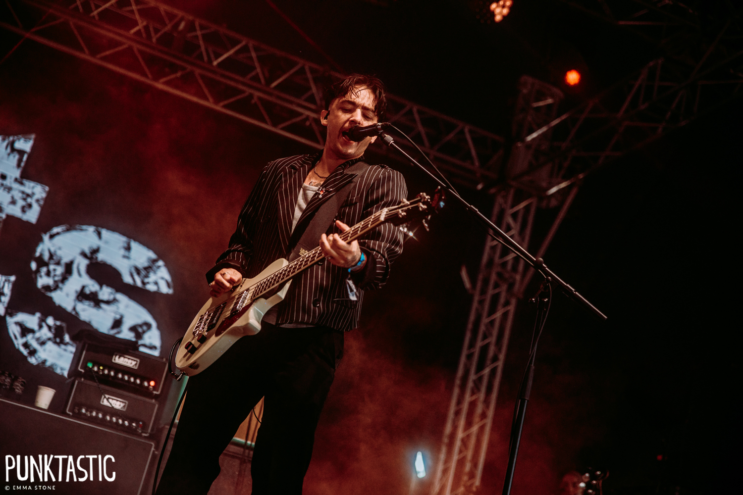 Marmozets
