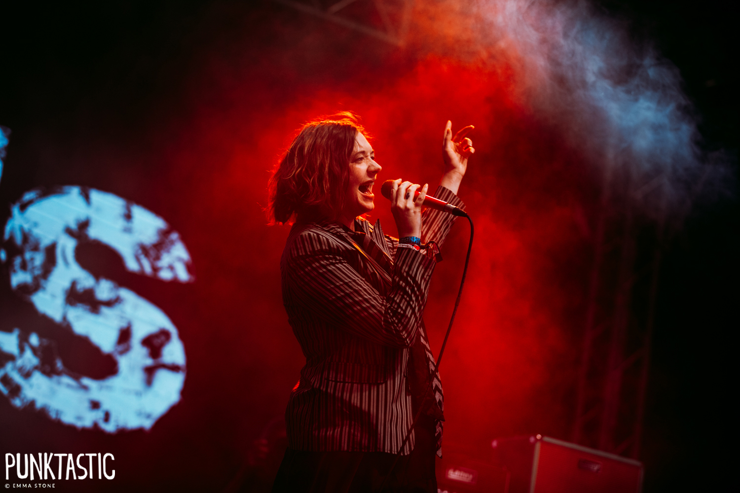 Marmozets
