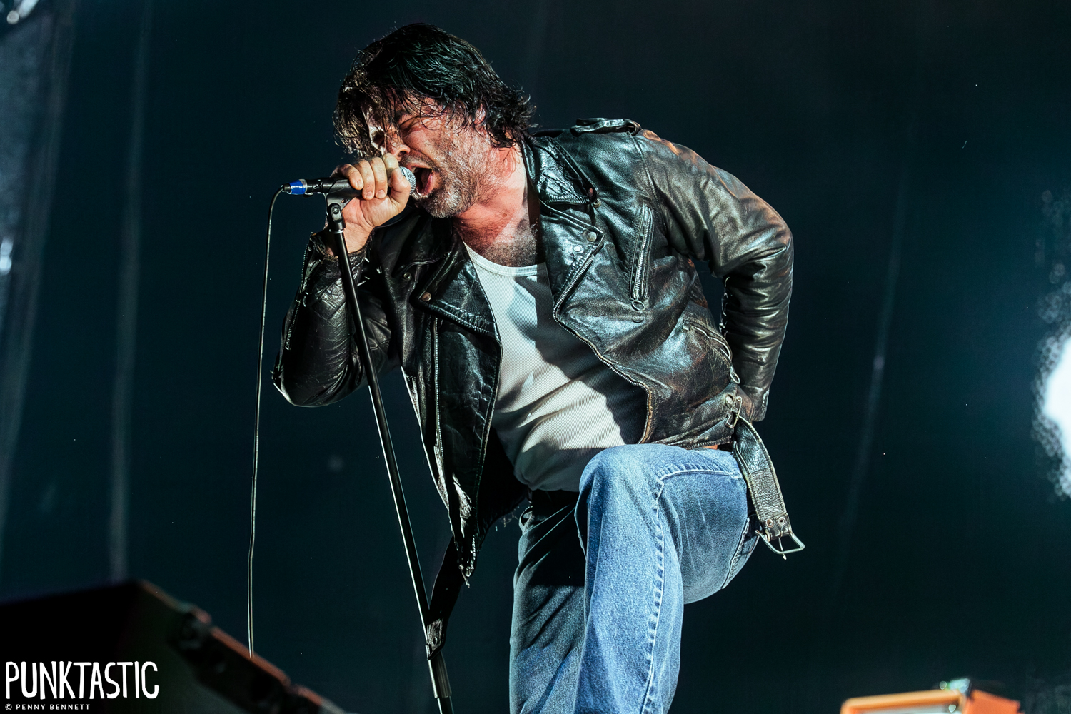 Alexisonfire
