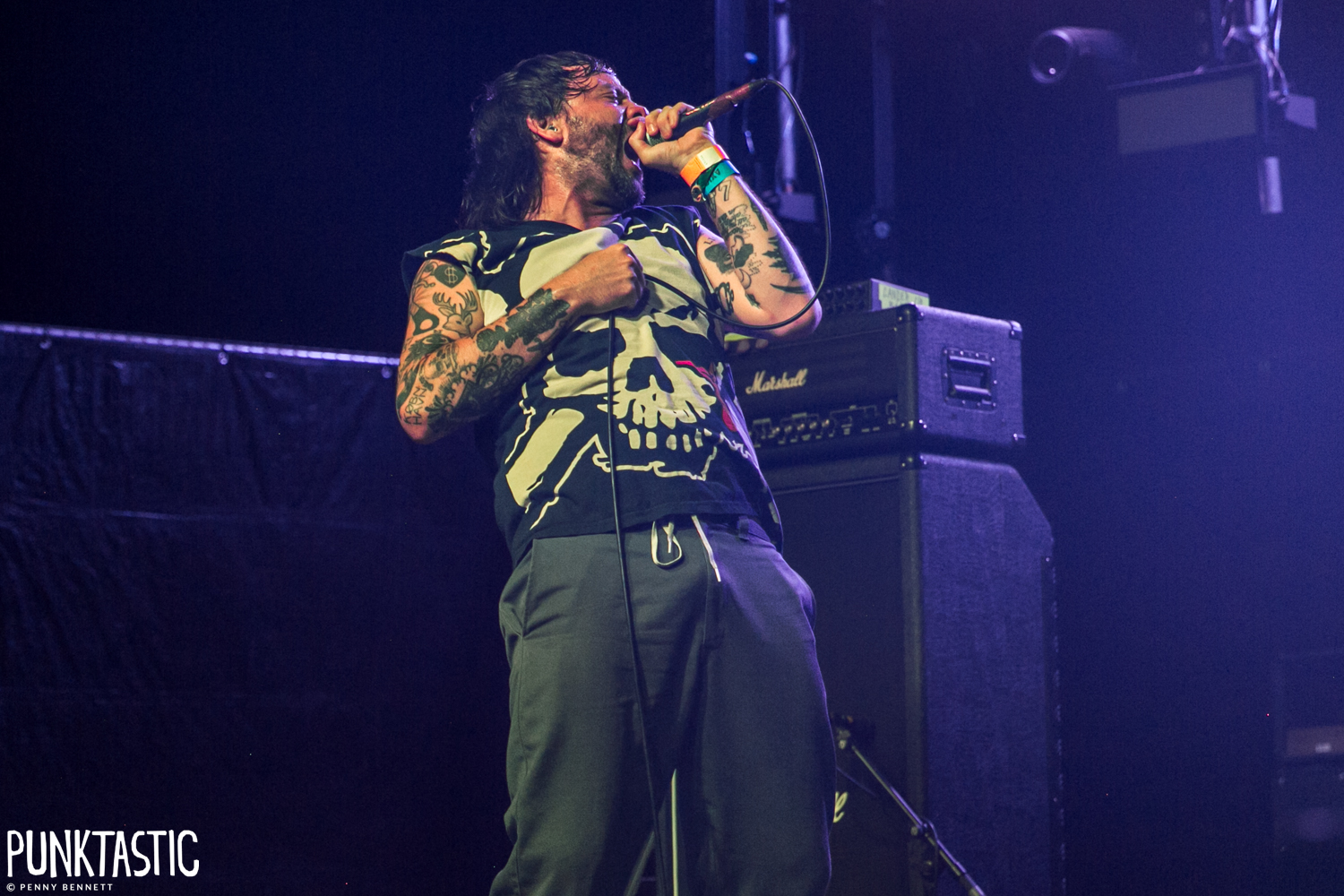 Cancer Bats