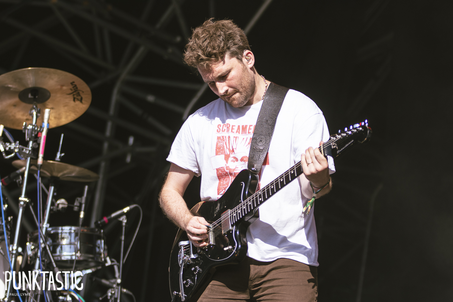 Marmozets