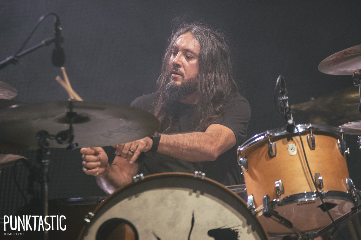 Alcest