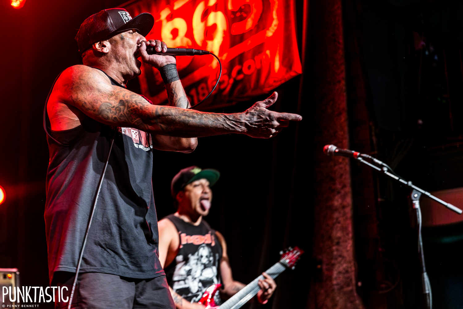 Hed PE
