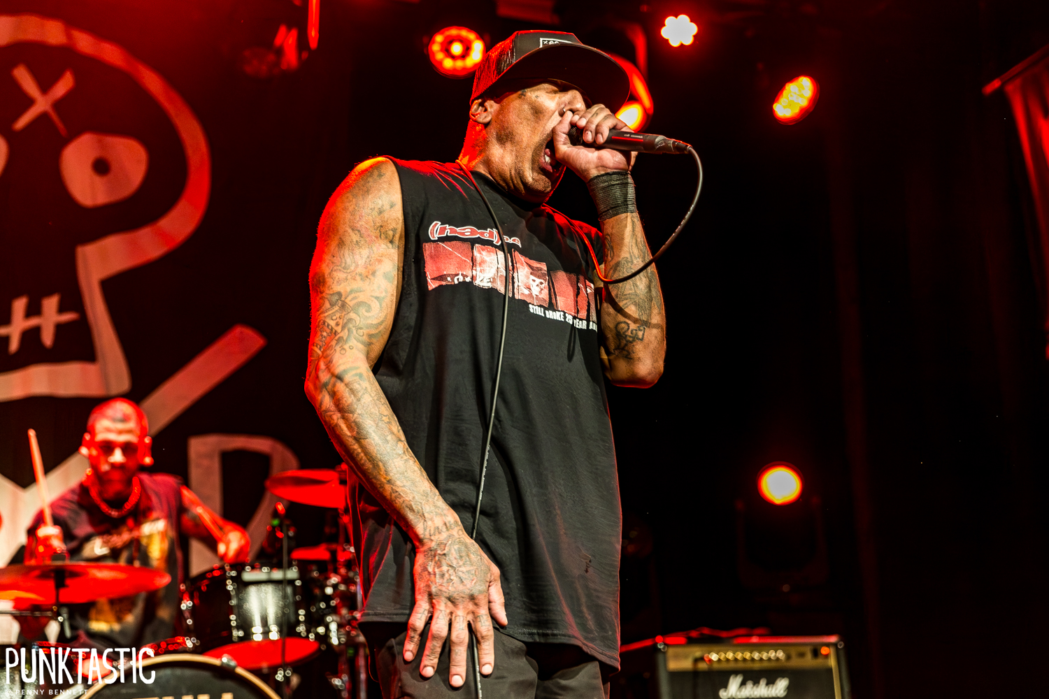 Hed PE