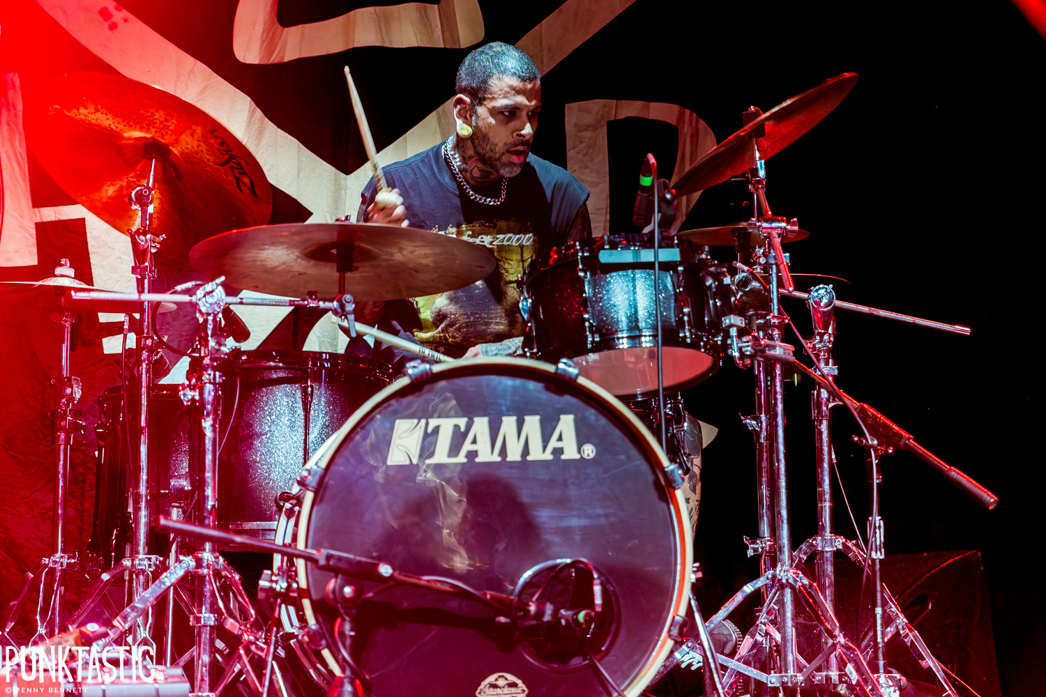Hed PE