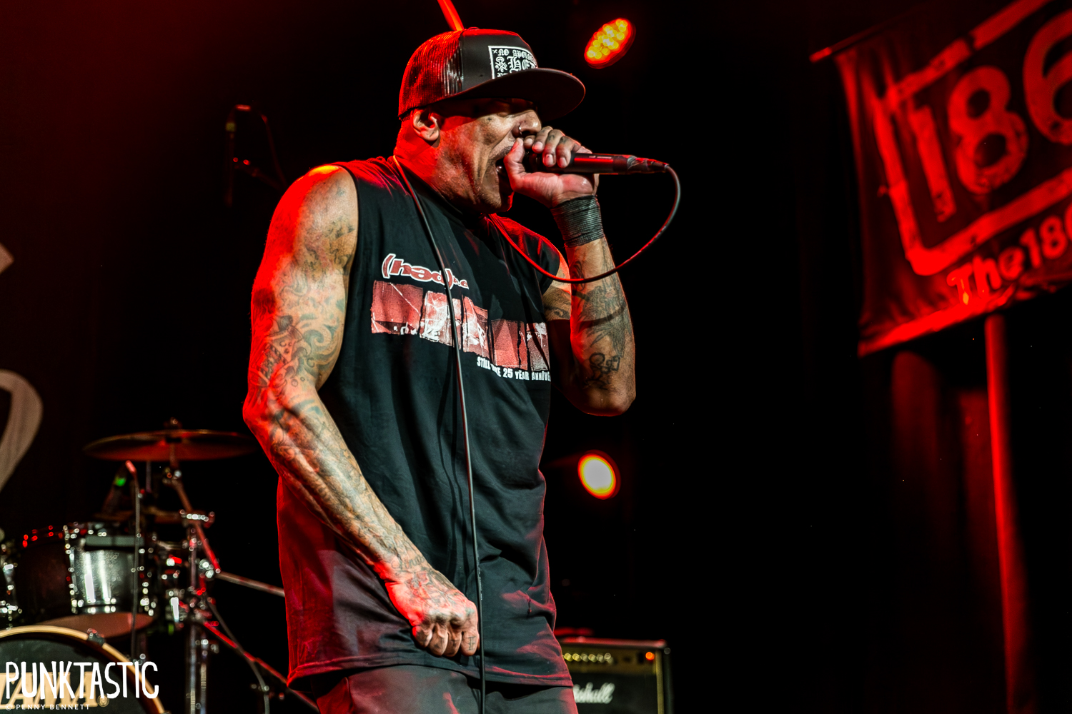 Hed PE