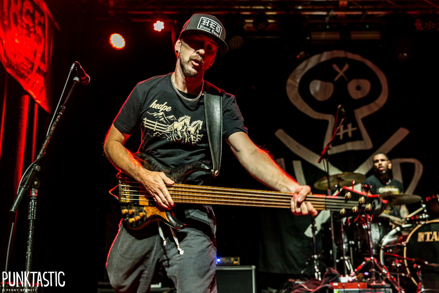 Hed PE
