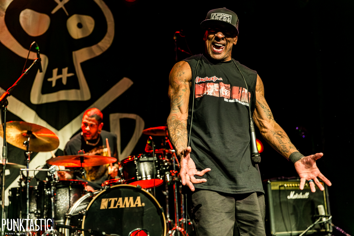 Hed PE