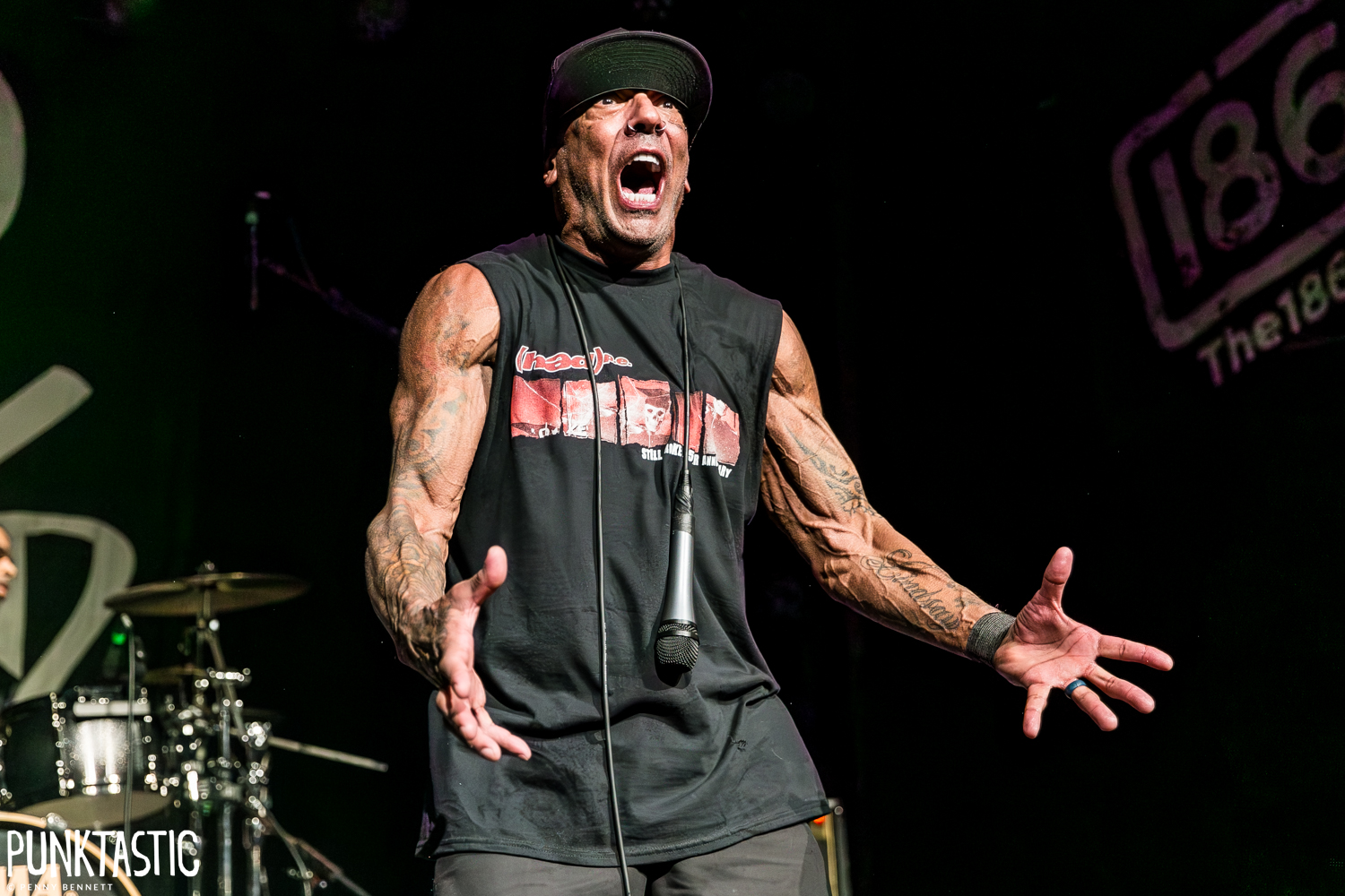 Hed PE