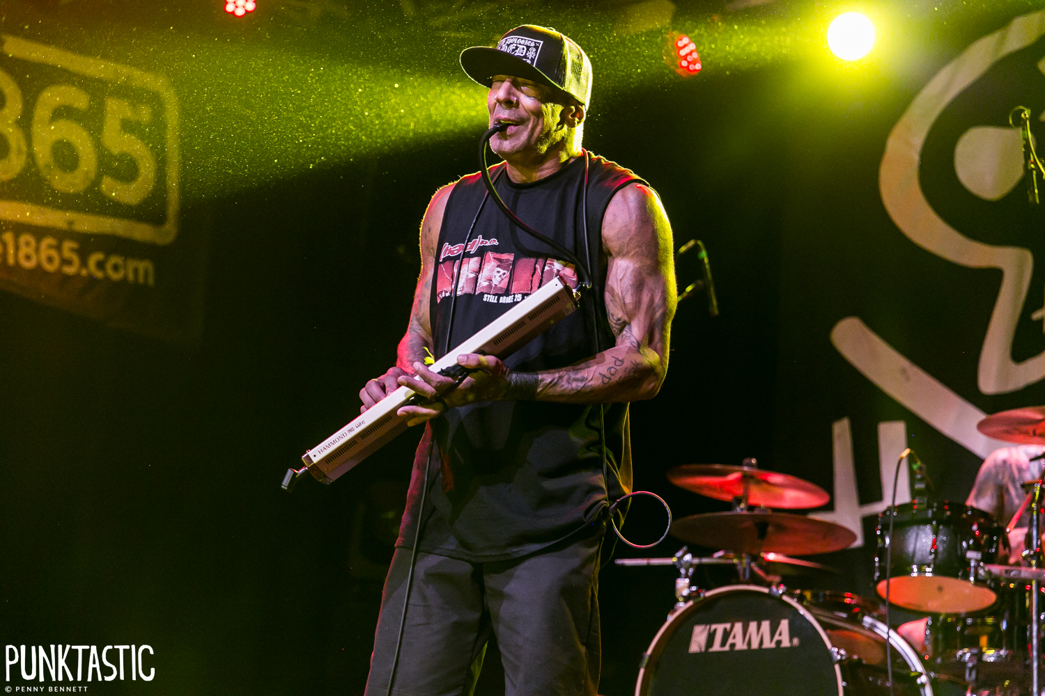Hed PE
